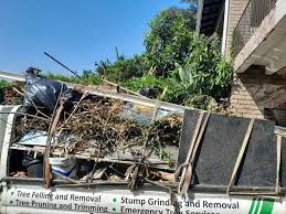 Leisure Knoll, NJ Junk Removal  Company